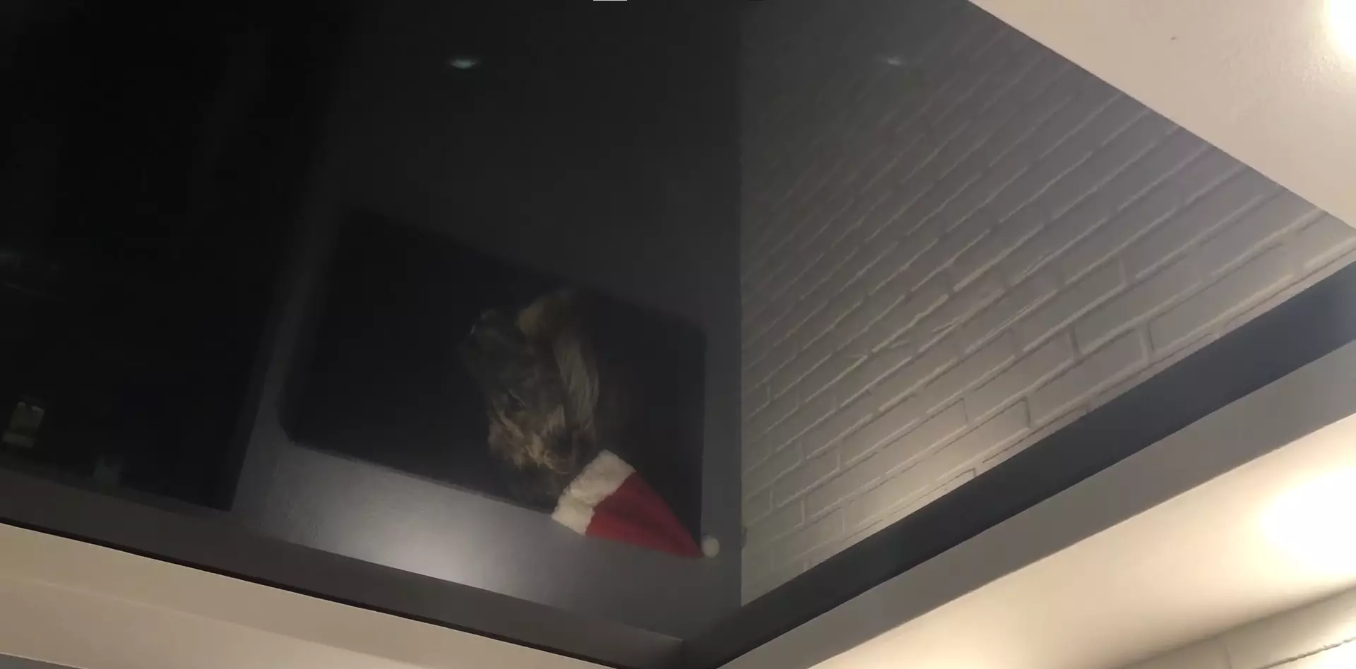 Пятигорск, проспект 40 лет Октября, 10, фото 3